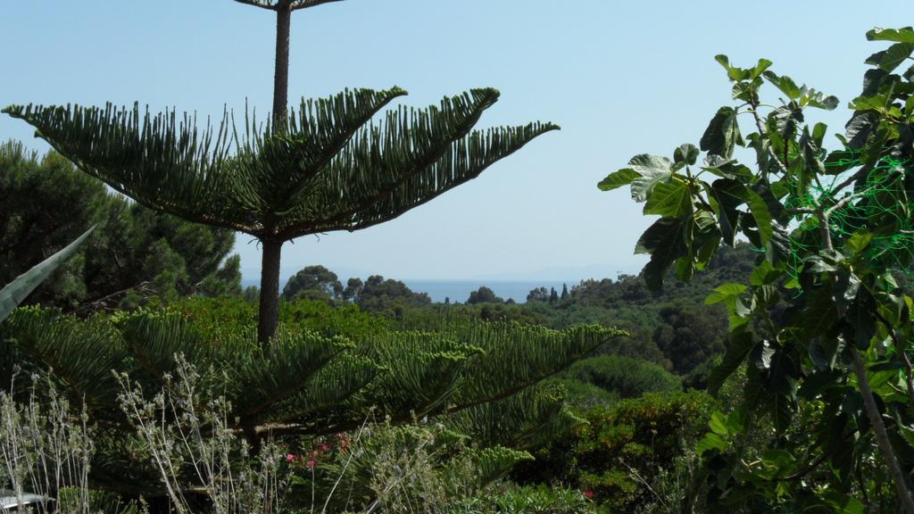 Villa Carpe Diem Le Lavandou Room photo